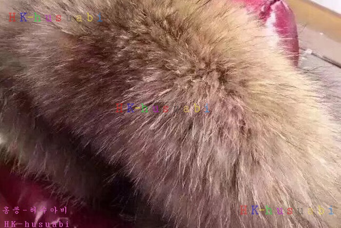 NEW ��Ŭ���� ������ �е� 224050