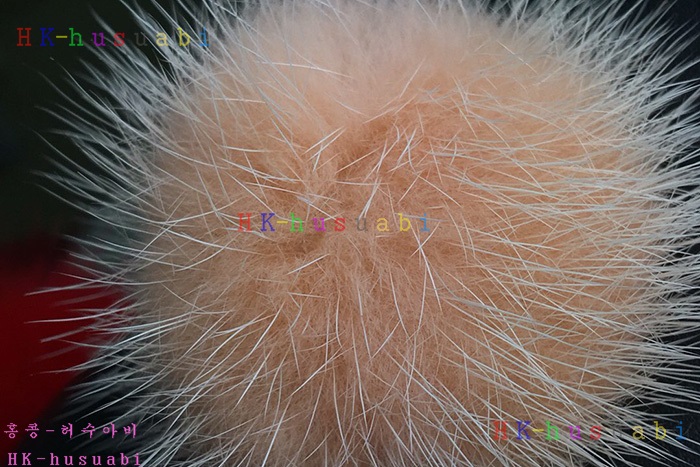 �ڹ̷��ޡ�2018SS  ��� ���̴����� ��Ʈ�� FD 34997