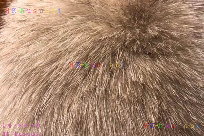 NEW ��Ŭ���� ������ �е� M 704807