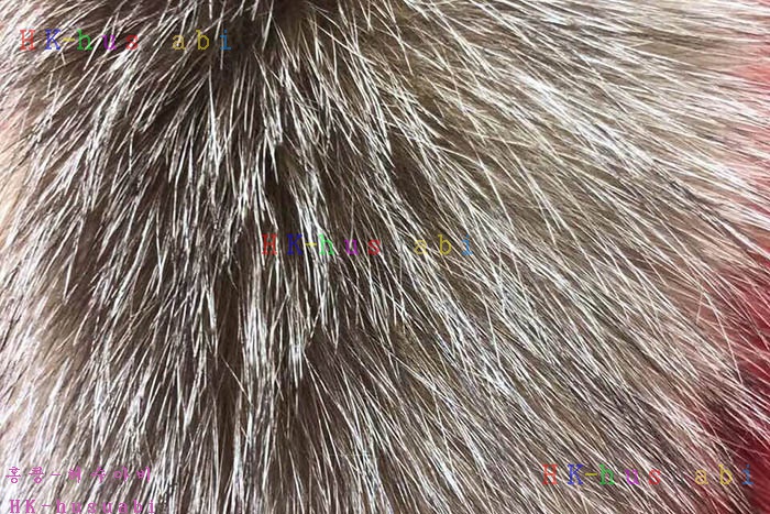 NEW ��Ŭ���� ������ �е� M 704808