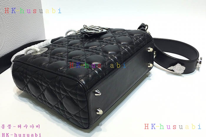 �ڹ̷��ޡ� ��� ���̵�� DR 250044