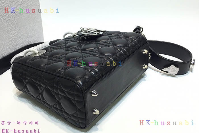 �ڹ̷��ޡ� ��� ���̵�� DR 250044